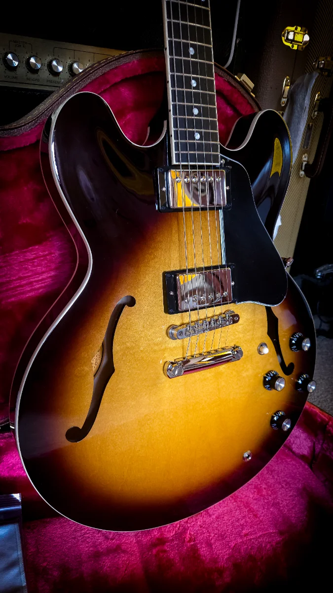 Gibson ES 335 Dot Reissue 2025 - Vista 4