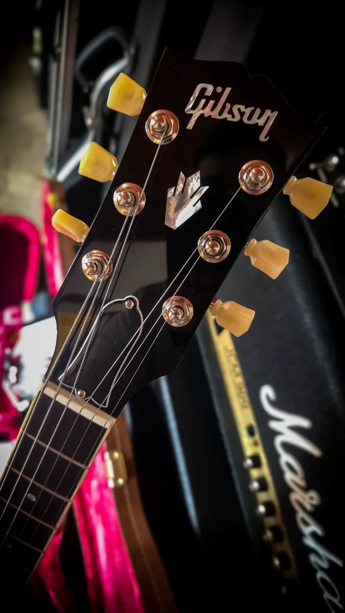 Gibson ES 335 Dot Reissue 2025 - Vista 2