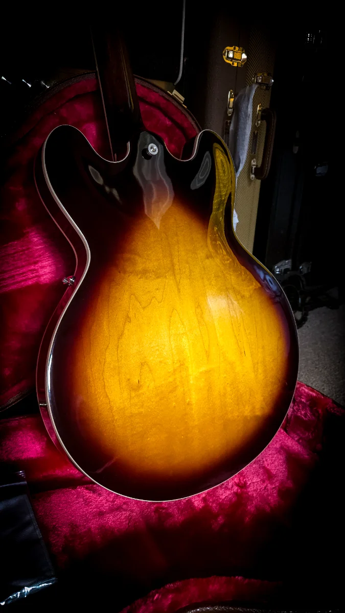 Gibson ES 335 Dot Reissue 2025 - Vista 5