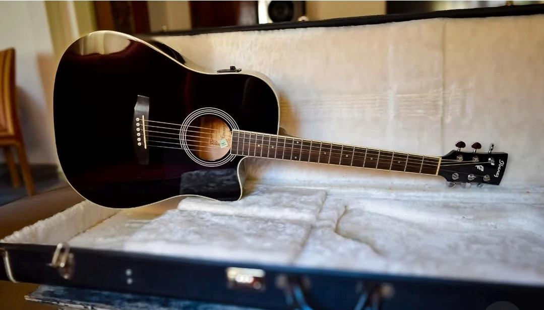 Ibanez Electroacustica PF15ECE BK