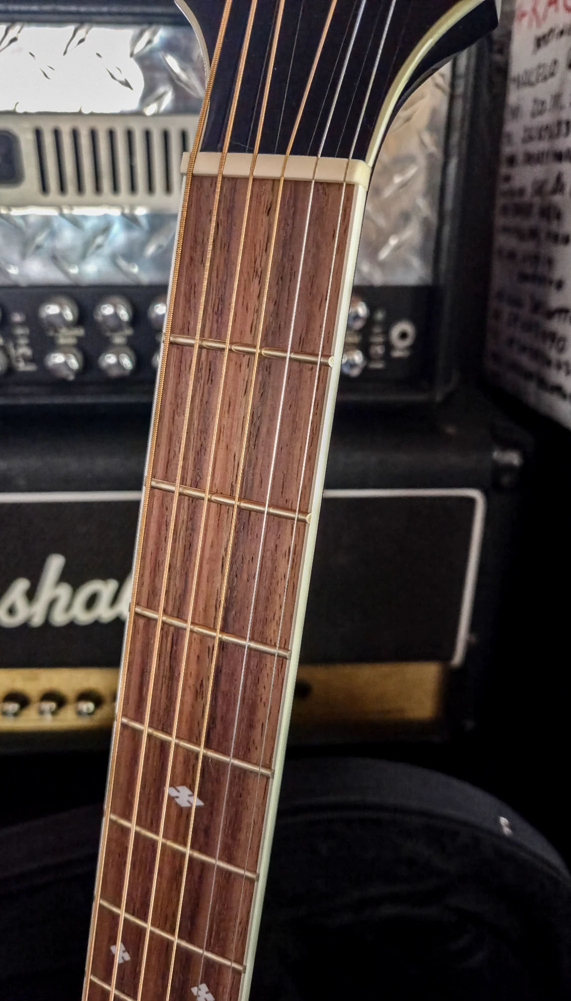 Takamine EF341SC - Vista 2