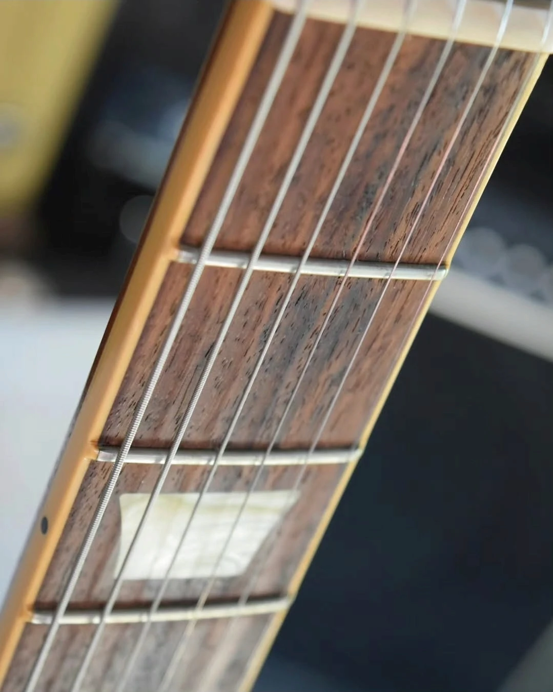 Gibson Firebird Limited Edition Zebrawood - Vista 6