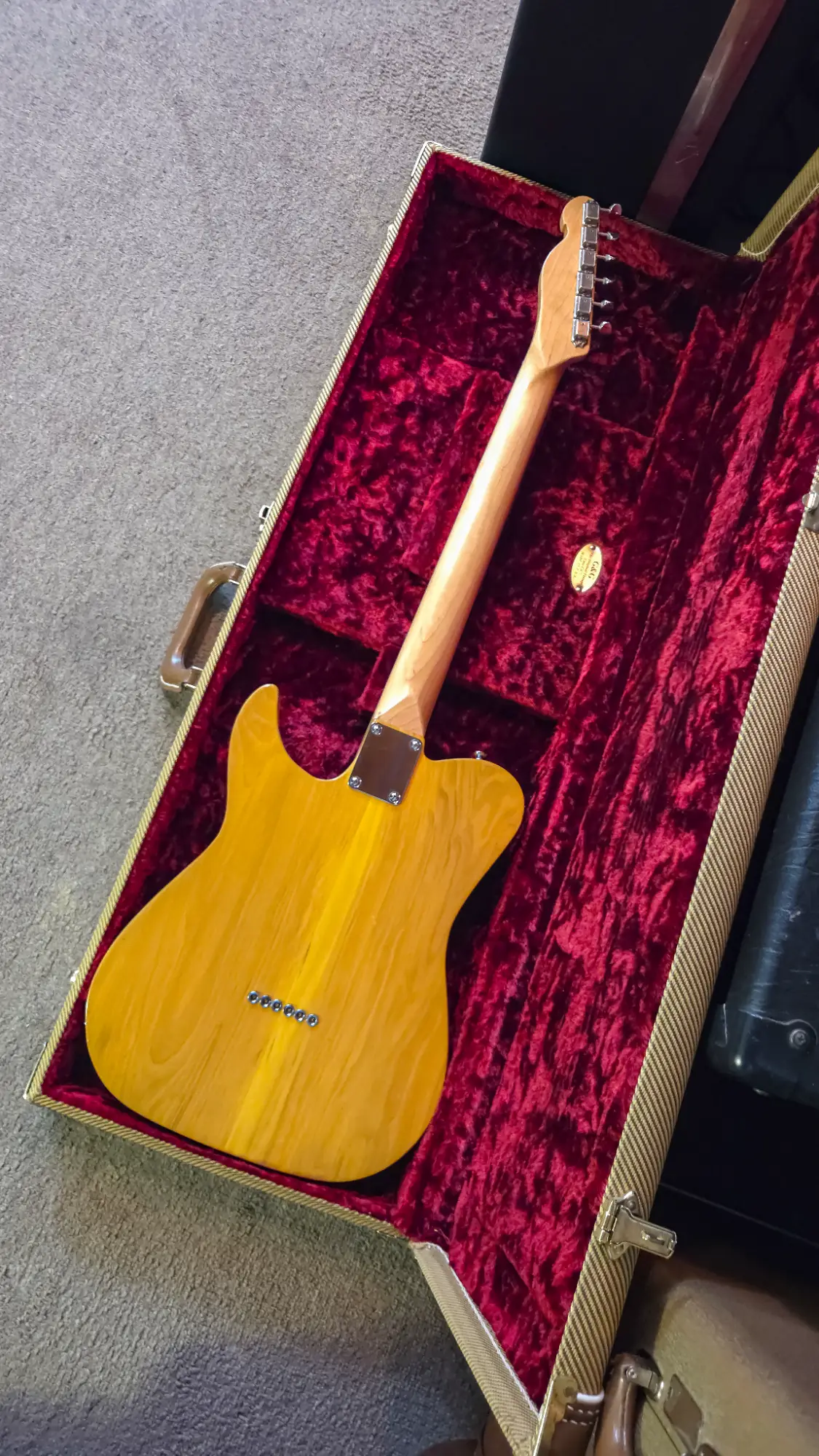 Telecaster Luthier Magro - Vista 5