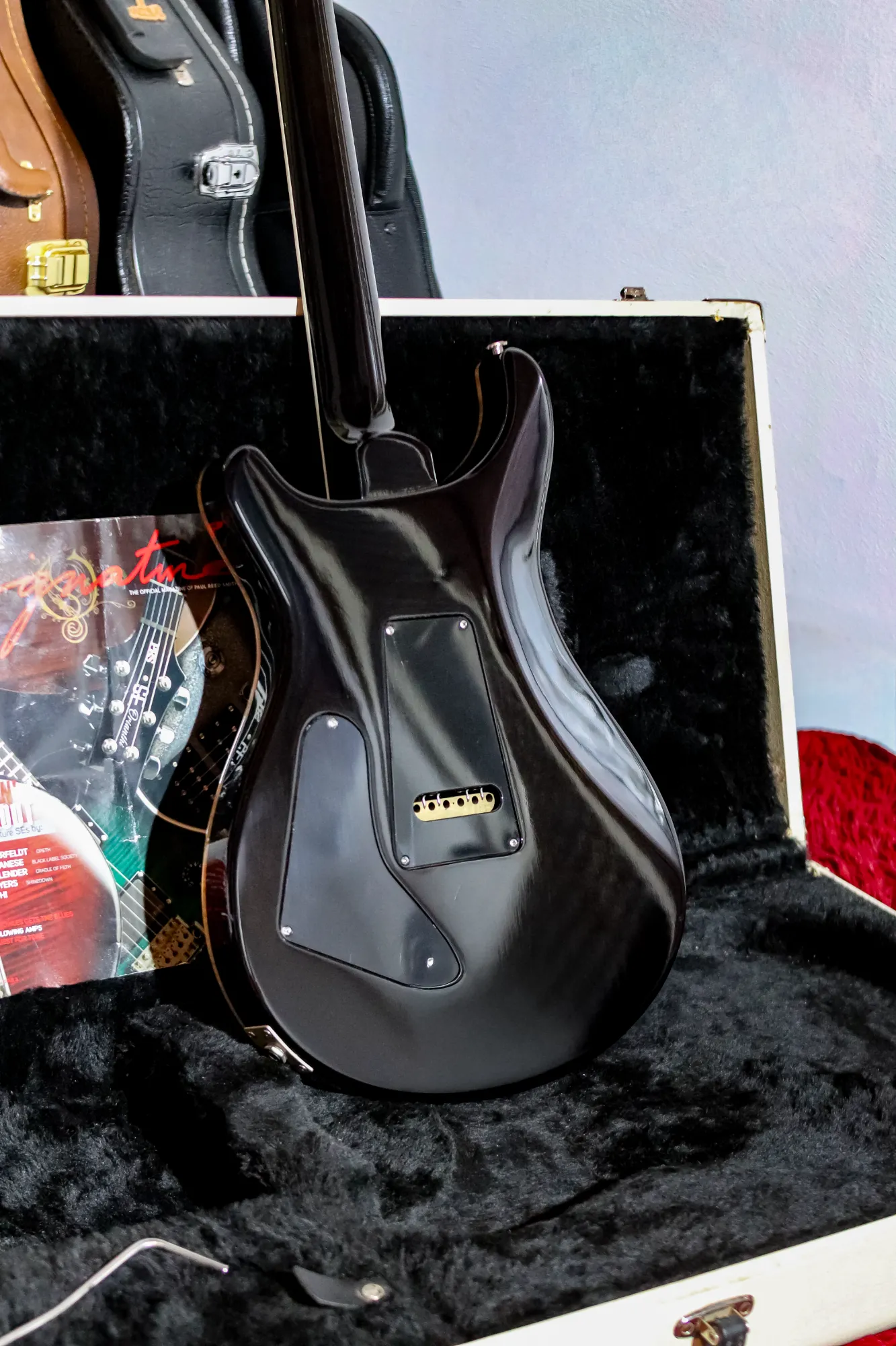 PRS Custom 24 Ten Top 25th Anniversary Smoked Black Slate - Vista 12