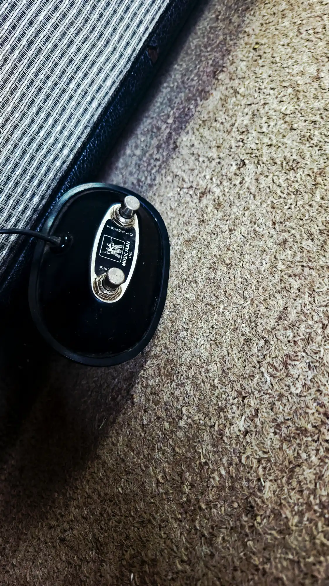 Musicman Sixty-Five 1979 - Vista 12