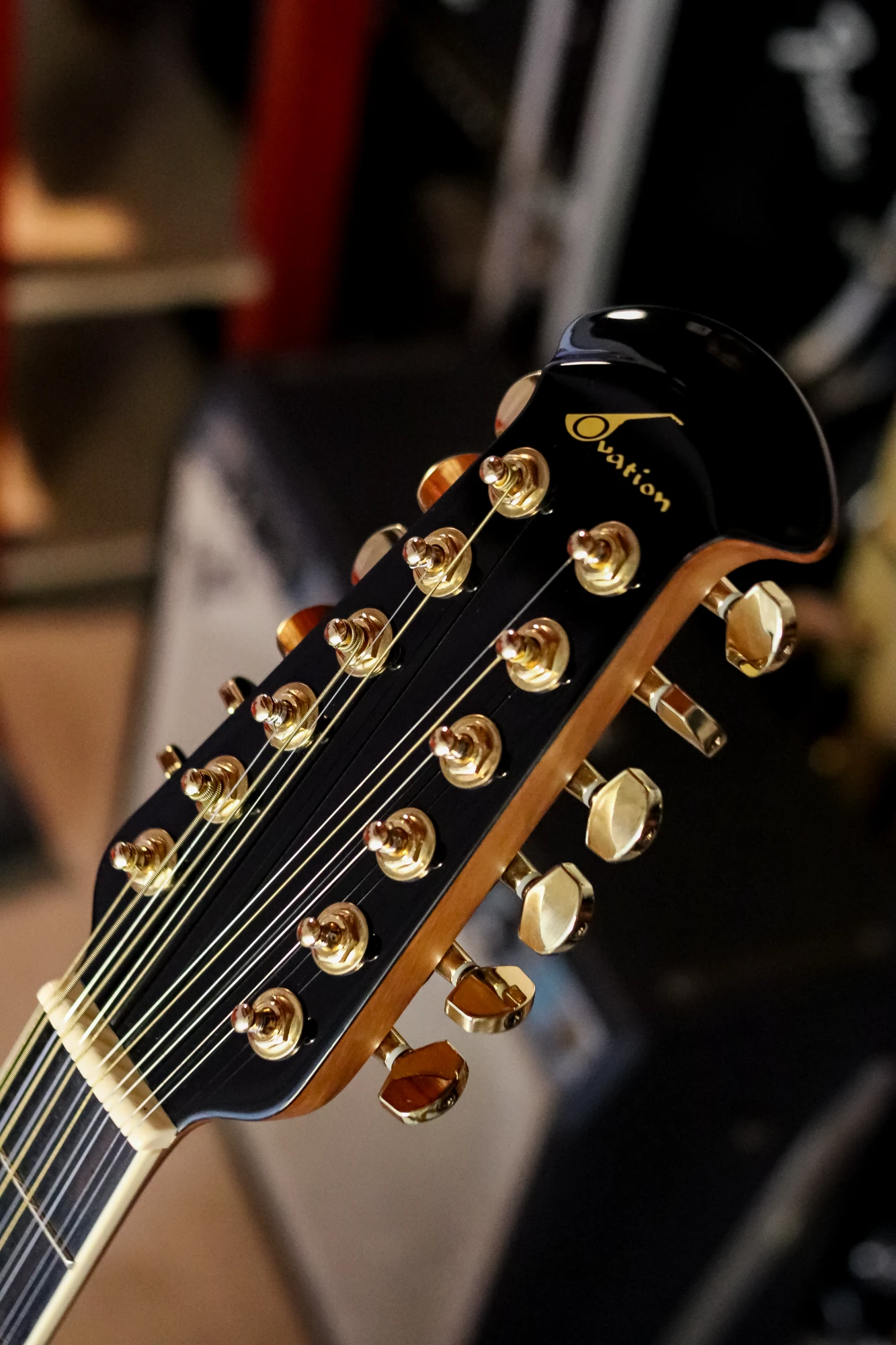 Ovation Celebrity CC245 - H - Vista 10