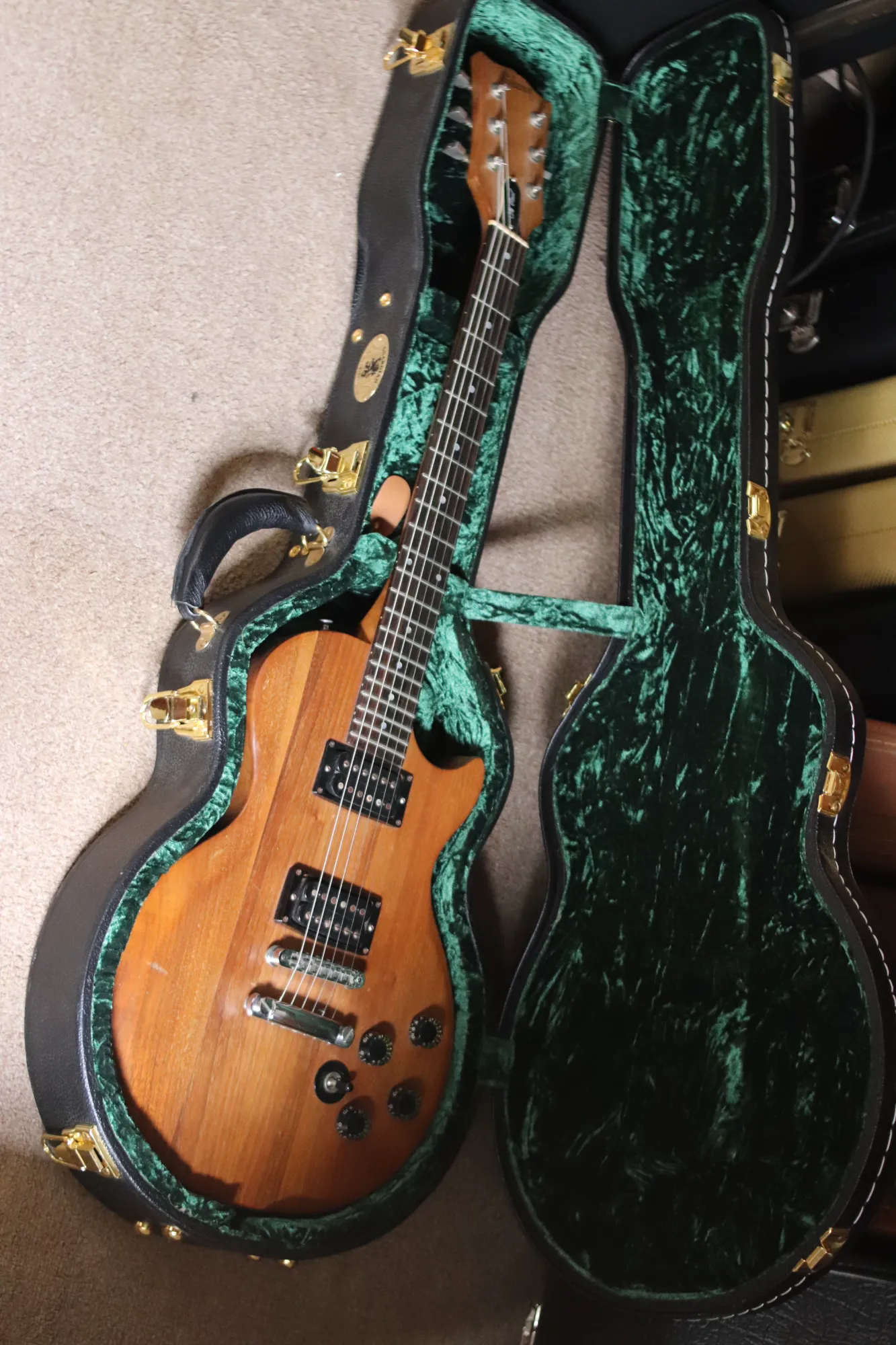 Gibson Les Paul "The Paul" 1979 - Vista 2