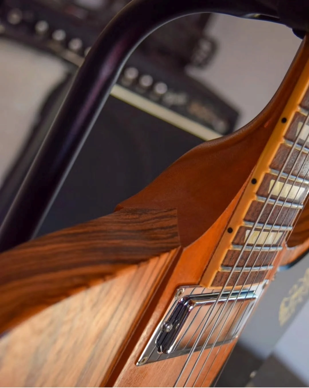 Gibson Firebird Limited Edition Zebrawood - Vista 5
