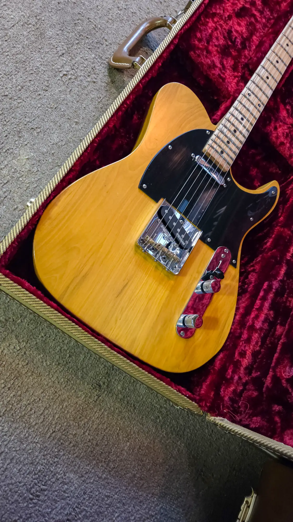 Telecaster Luthier Magro - Vista 2
