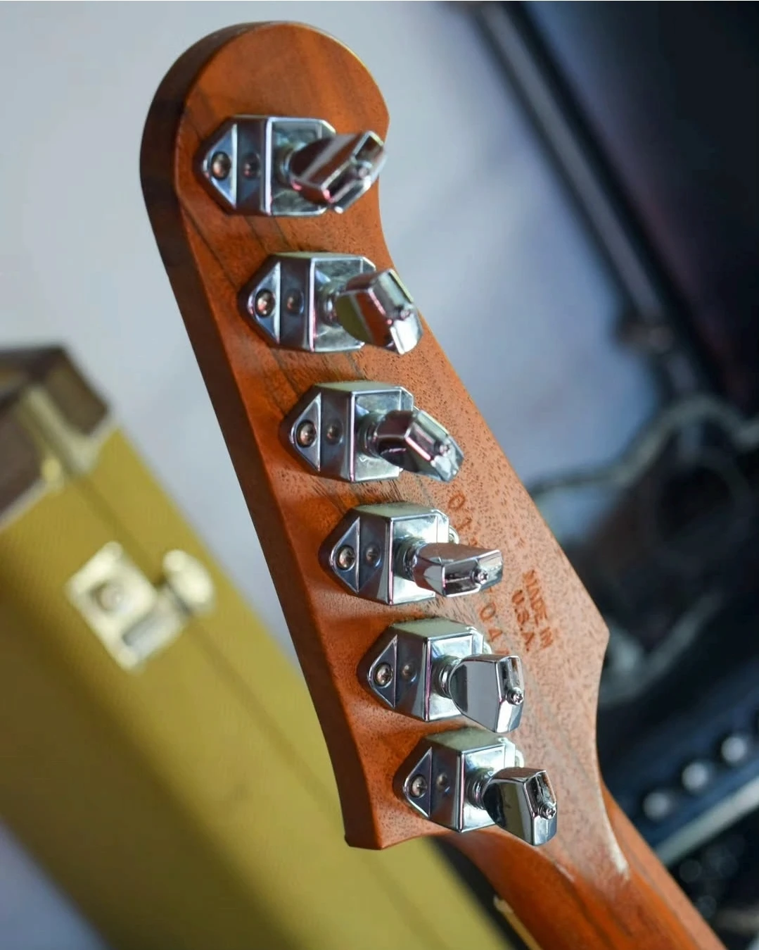 Gibson Firebird Limited Edition Zebrawood - Vista 12