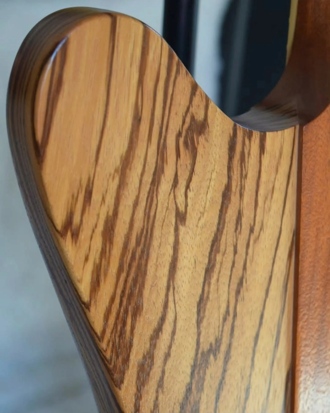 Gibson Firebird Limited Edition Zebrawood - Vista 11