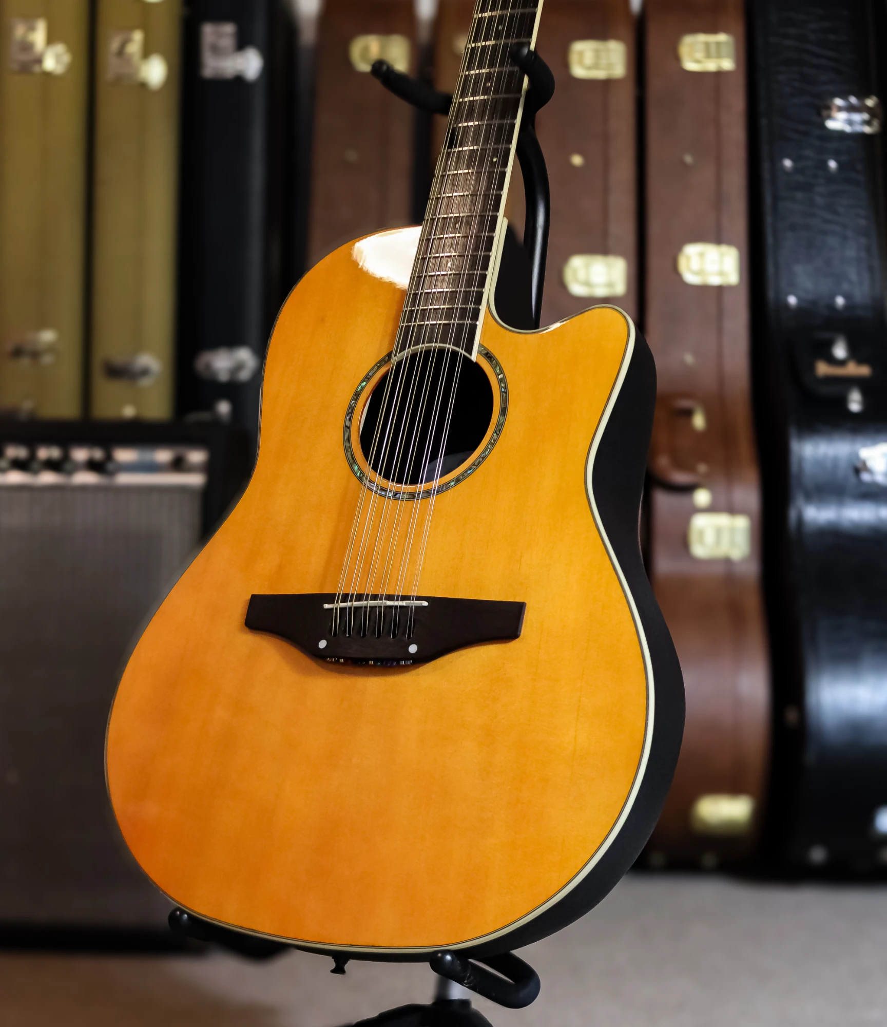 Ovation Celebrity CC245 - H