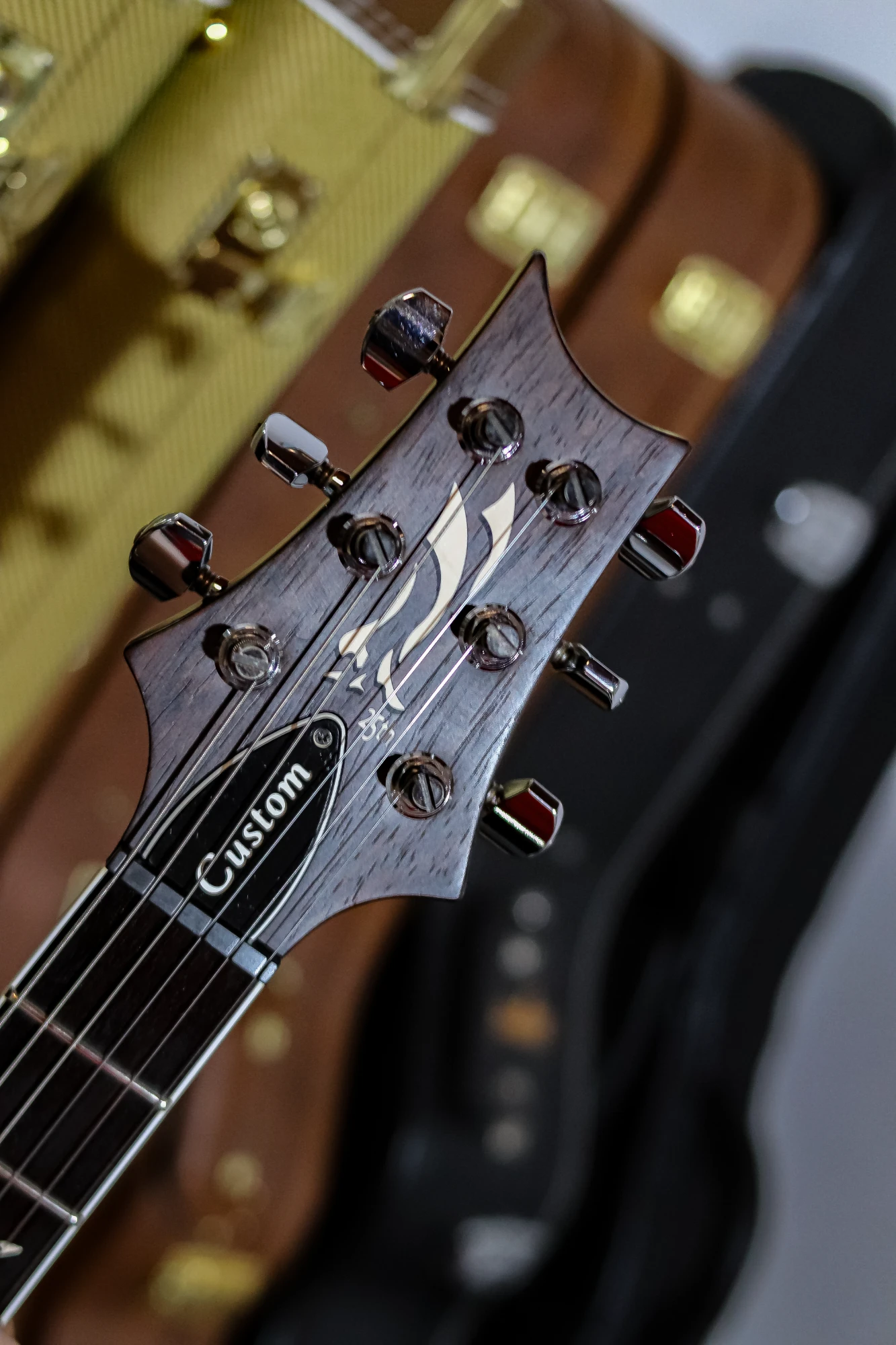 PRS Custom 24 Ten Top 25th Anniversary Smoked Black Slate - Vista 9