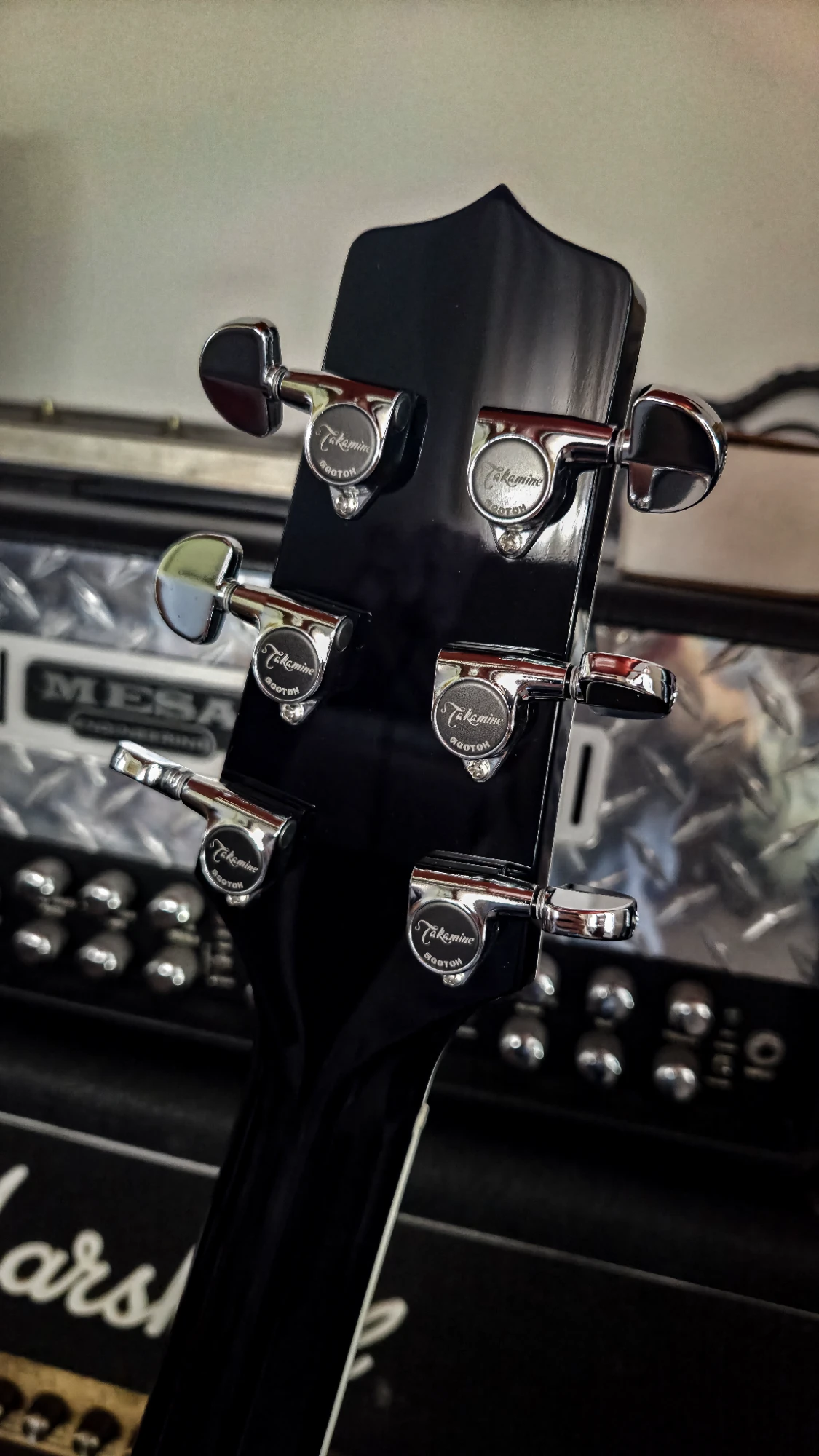 Takamine EF341SC - Vista 8