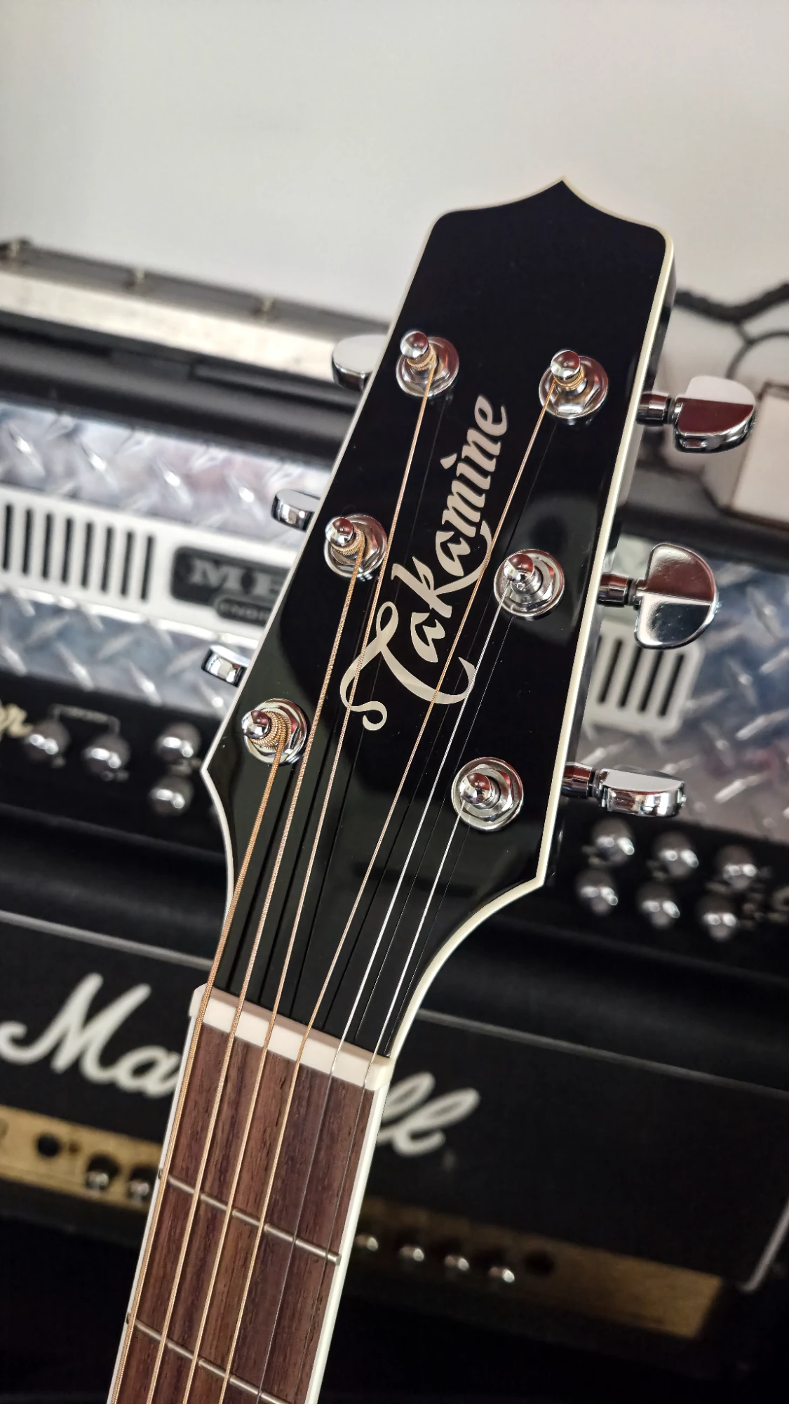 Takamine EF341SC - Vista 5